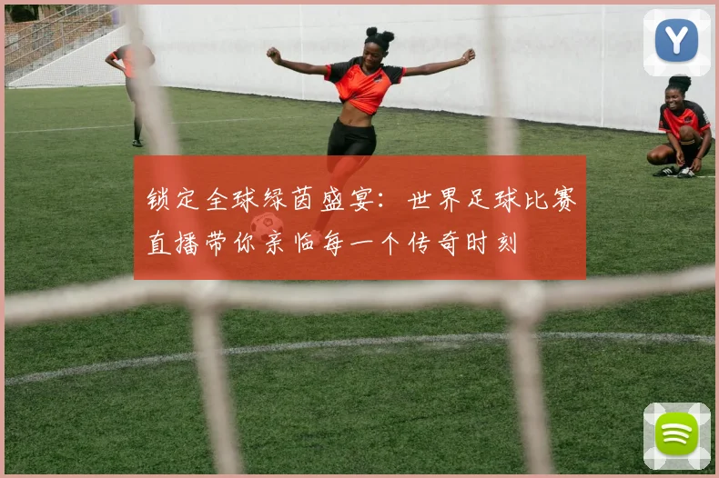 锁定全球绿茵盛宴：世界足球比赛直播带你亲临每一个传奇时刻