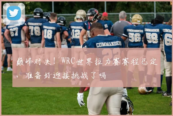 巅峰对决！WRC世界拉力赛赛程已定，准备好迎接挑战了吗