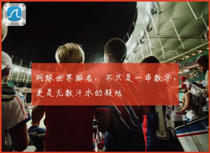 网球世界排名，不只是一串数字，更是无数汗水的凝结