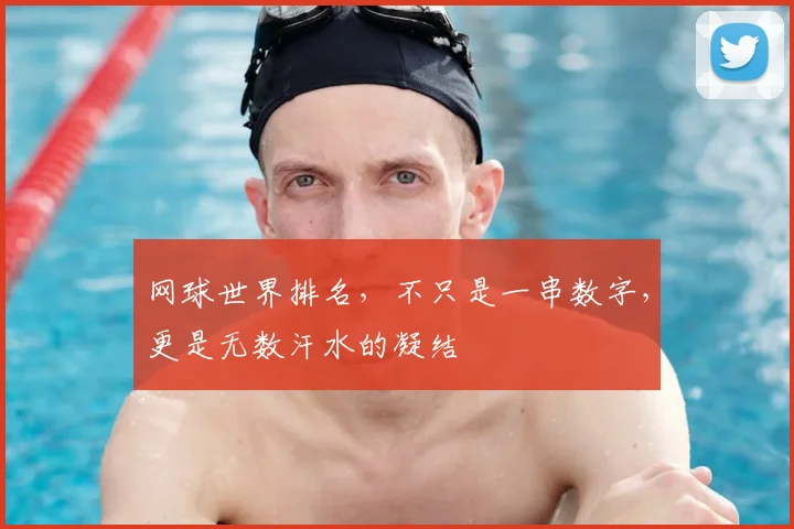 网球世界排名，不只是一串数字，更是无数汗水的凝结